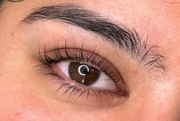 Close-up of an eye with a freshly done lash lift and tint, showcasing beautifully curled and darkened lashes.